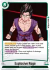 Product image for Explosive Rage