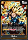 Product image for Shallot - FB11-087