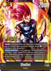 Product image for Shallot - FB11-088