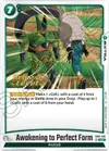 Product image for Awakening to Perfect Form
