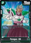 Product image for Paragus : BR - FB06-058