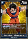 Product image for Son Gohan : Adolescence