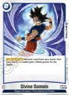 Product image for Divine Domain