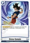 Product image for Divine Domain