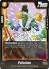 Product image for Paikuhan - FB09-089