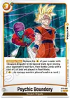 Product image for Psychic Boundary