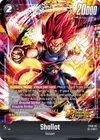 Product image for Shallot - FS09-05