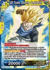 Product image for SS Trunks, Stunning Combination