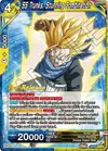Product image for SS Trunks, Stunning Combination