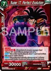 Product image for Super 17, Perfect Evolution