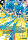 Product image for SSB Son Goku & SSB Vegeta, Height of Power (SPR)