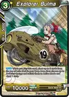 Product image for Explorer Bulma