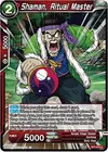 Product image for Shaman, Ritual Master