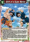 Product image for Birth of a Super Warrior