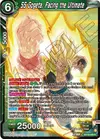 Product image for SS Gogeta, Facing the Ultimate