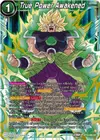 Product image for True Power Awakened