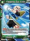 Product image for Fledgling Duo Krillin