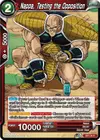Product image for Nappa, Testing the Opposition