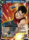 Product image for Vegeta, Tempered Body