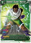 Product image for Sealed Super Warrior