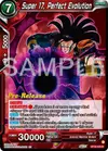 Product image for Super 17, Perfect Evolution