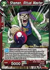 Product image for Shaman, Ritual Master