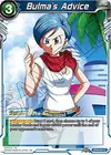 Product image for Bulma's Advice