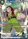 Product image for Sarta, North Galaxy Warrior
