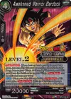 Product image for Awakened Warrior Bardock (Level 2)