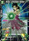 Product image for Broly, Unknown Power