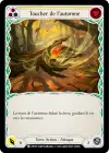 Product image for Toucher de l’automne