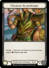 Product image for Floraison du printemps
