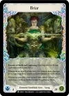 Product image for Briar