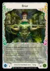 Product image for Briar