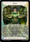 Product image for Briar