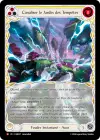 Product image for Canaliser le Jardin des Tempêtes