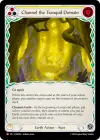 Product image for Channel the Tranquil Domain