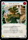 Product image for Forme de la terre