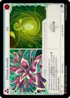 Product image for Floraison éternelle // Vie