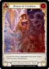 Product image for Illusion de l’érudition