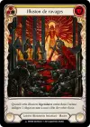 Product image for Illusion de ravages