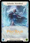 Product image for Iyslander, Stormbind