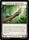 Product image for Membres de lignum vitae