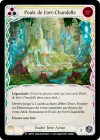 Product image for Pouls de Fort-Chandelle