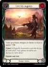 Product image for Lire les augures