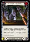 Product image for Tourment des damnés
