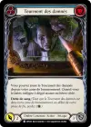 Product image for Tourment des damnés