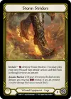 Product image for Storm Striders