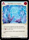 Product image for Tourbillon de tempête