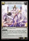 Product image for Acolyte of Cultivation